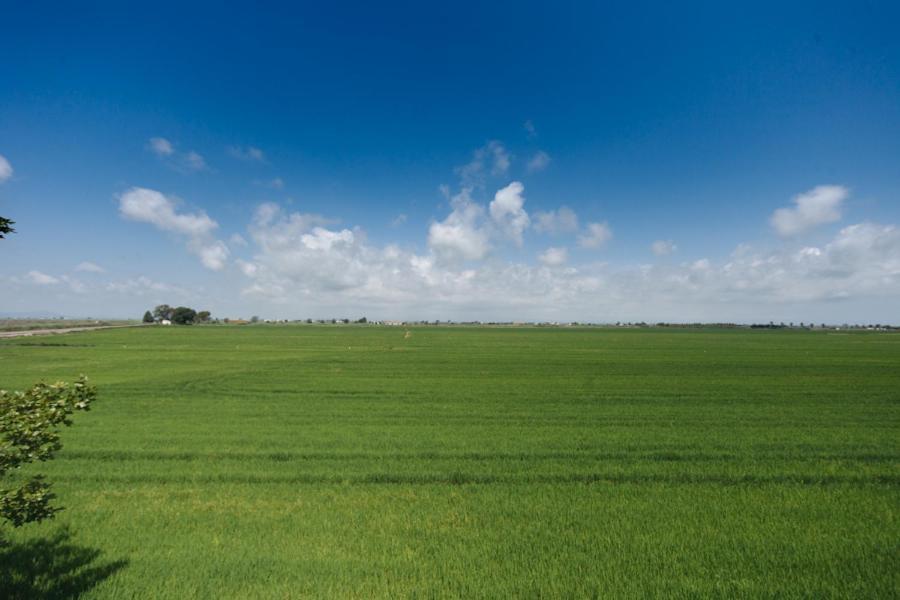 Salicornia Apartament L'Eucaliptus Exteriér fotografie